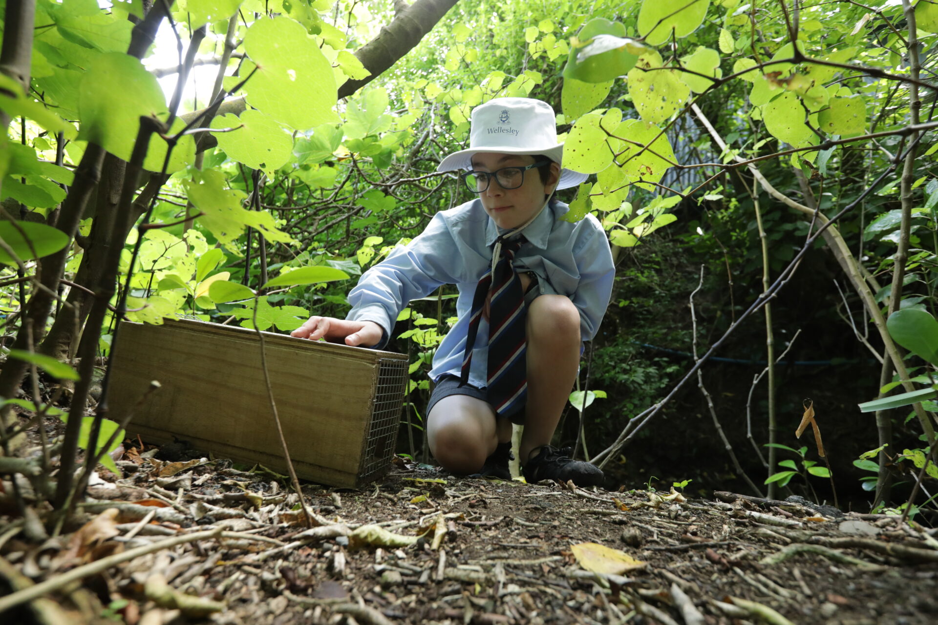 A boy setting up a trap, carefully arranging it outdoors